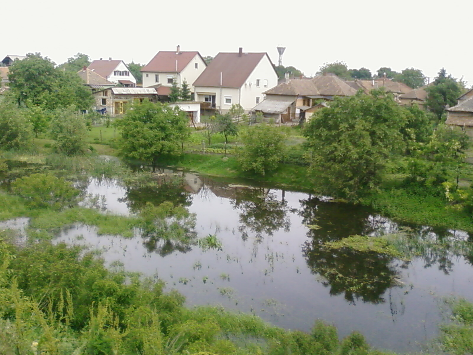 árvíz