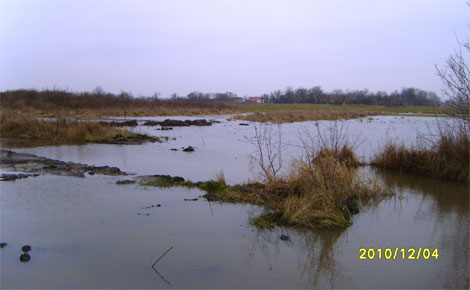 árvíz
