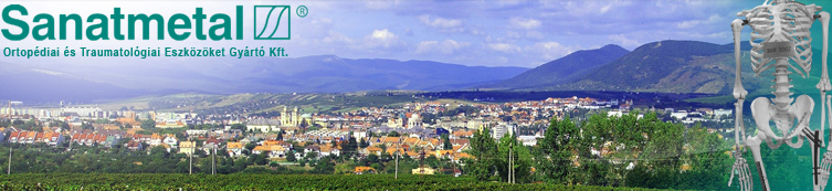 Harminc fős kínai delegáció látogatott el az egri Sanatmetal Kft-hez  Sanatmetal Kft-hez