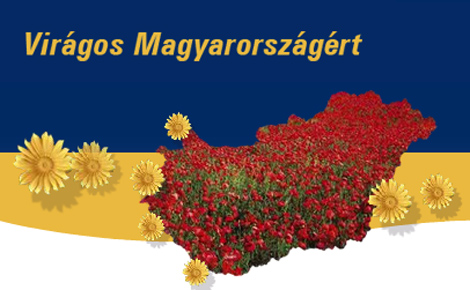 Virágos Magyarországért Verseny: Miniszterelnöki díjat kapott Eger