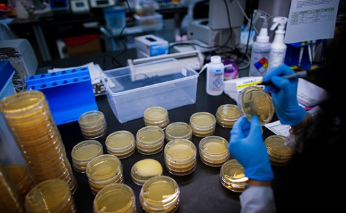 Diagnosztikai eszközt vásárol Gyöngyös